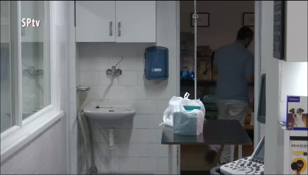 Hasznos Tanácsok Egy Állatorvostól